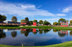 Pond treated with AquaShadow Black Dye