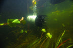 Kasco AquatiClear water circulator