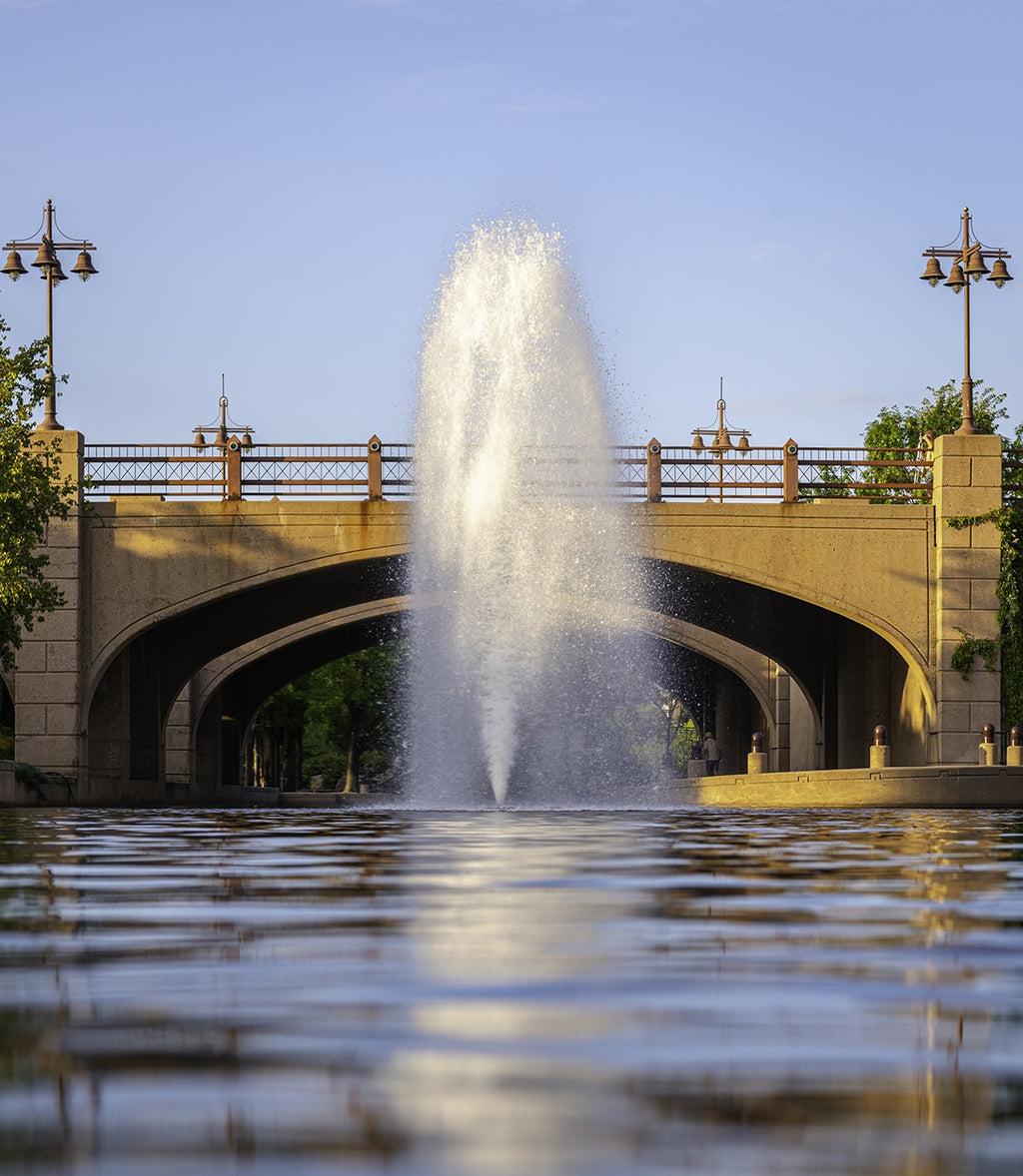 Kasco J Series fountain. Spray Pattern: Birch