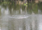 Kasco RobustAire diffuser operating in water