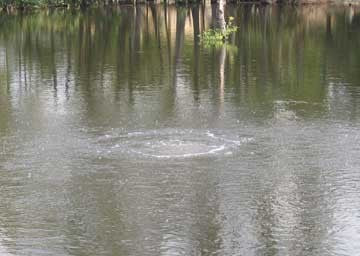 Kasco RobustAire diffuser operating in water