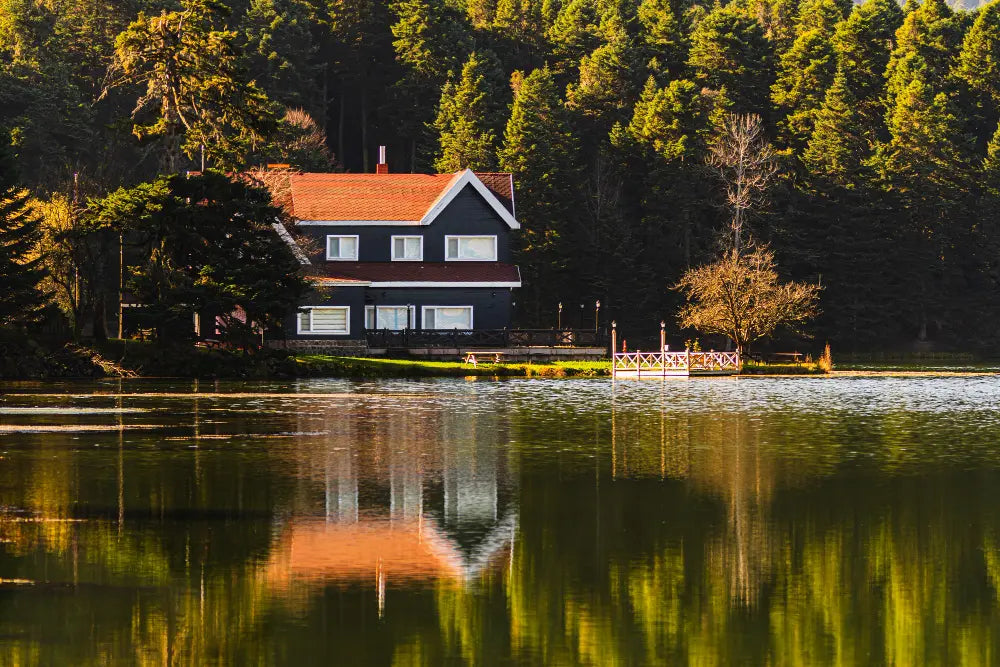 Lake and pond landscape
